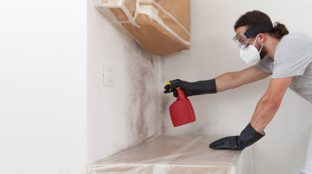 Professional Commercial Mold Remediation technician working in Baldwin, NY